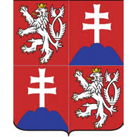CST- emblem