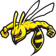 STING emblem