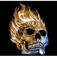 TROJA emblem