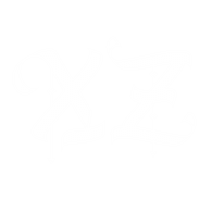 XZNAX emblem
