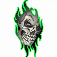 LT-DE emblem