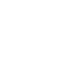 SKADY emblem