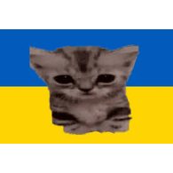 UA626 emblem