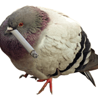 KIPPE emblem