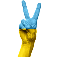 SANY4 emblem