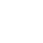 F-FLY emblem