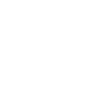 F-FLY emblem
