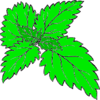 NETLE emblem