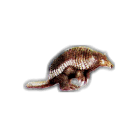 RD-ID emblem
