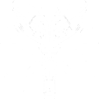 W-T-R emblem