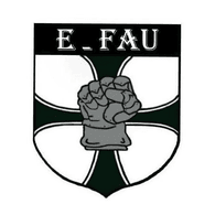 E_FAU emblem