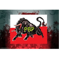 _-PBP emblem