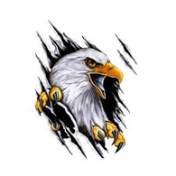 TLSBG emblem