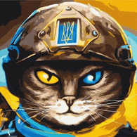 IL_UA emblem