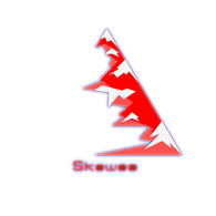 SK_WS emblem