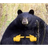 JAMAL emblem