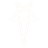 ALDI emblem