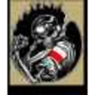 SASPL emblem