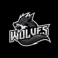 91ST emblem