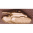 CZIKT emblem