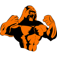 4PES emblem