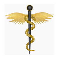 FR-FE emblem