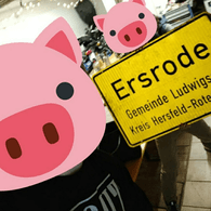 ER-EI emblem