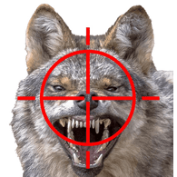 WYLCO emblem