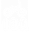 13A emblem