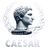ECHO_ emblem