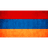 ARMYN emblem