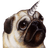 FLOPY emblem