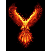 WISO emblem
