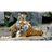 9TIGR emblem