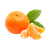 CITRU emblem
