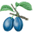 NSNP emblem
