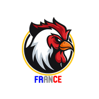 FR_AP emblem