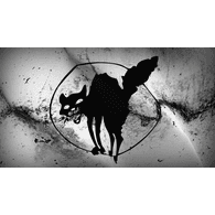 AN4RH emblem
