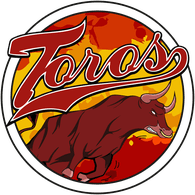 21-ES emblem