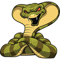 SN-T emblem