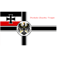 DS_CT emblem