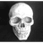 W_DT emblem