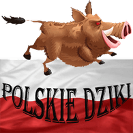 P_DZ emblem