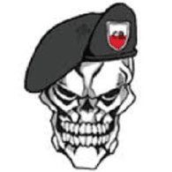 PFL emblem