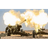 N8SFT emblem
