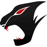 GO4 emblem