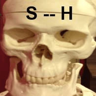 S--H emblem
