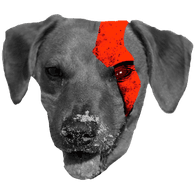 KIMI emblem