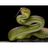 5NAKE emblem