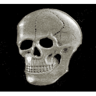 NDIE emblem
